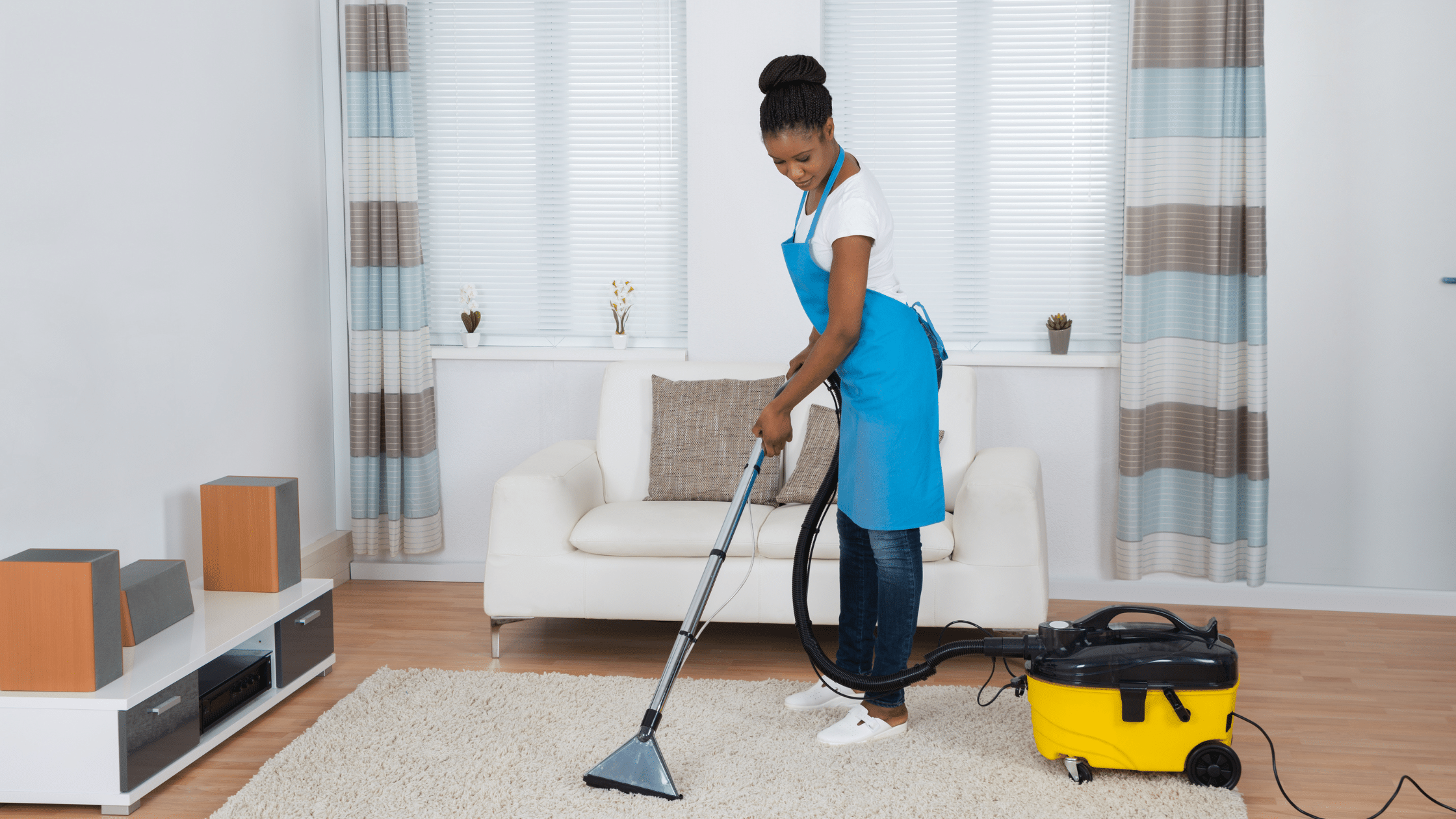 professional cleaning services