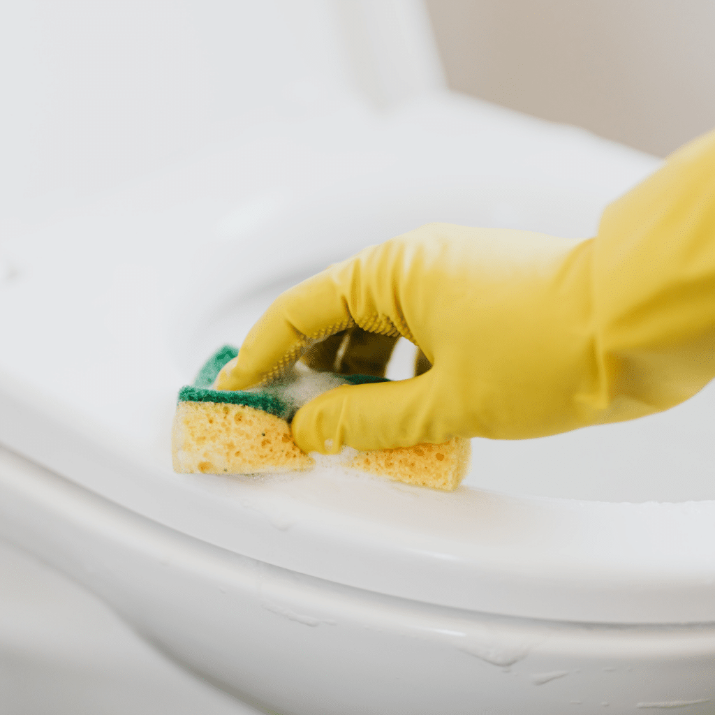 bathroom cleaning in home