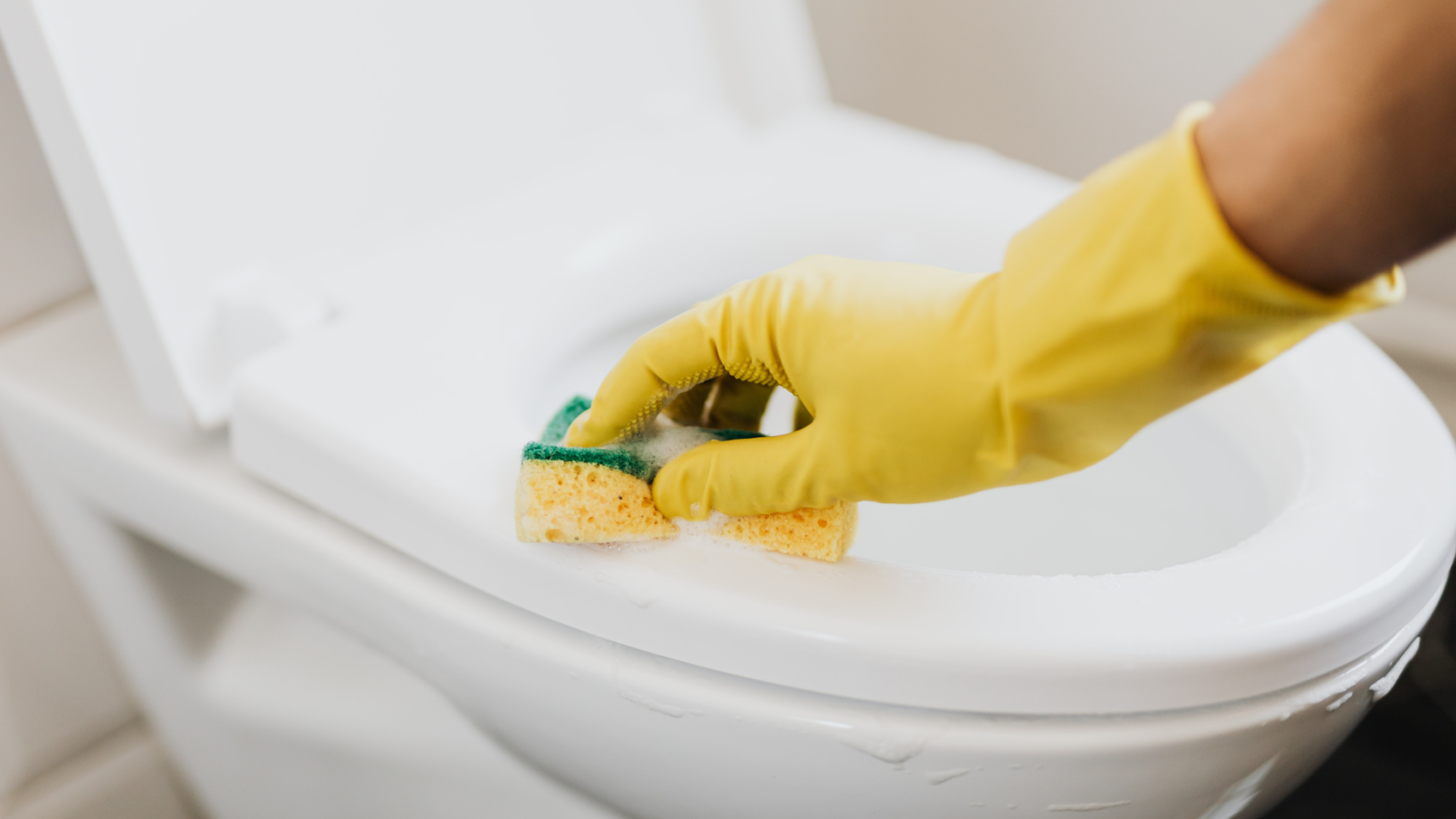 bathroom cleaning in home