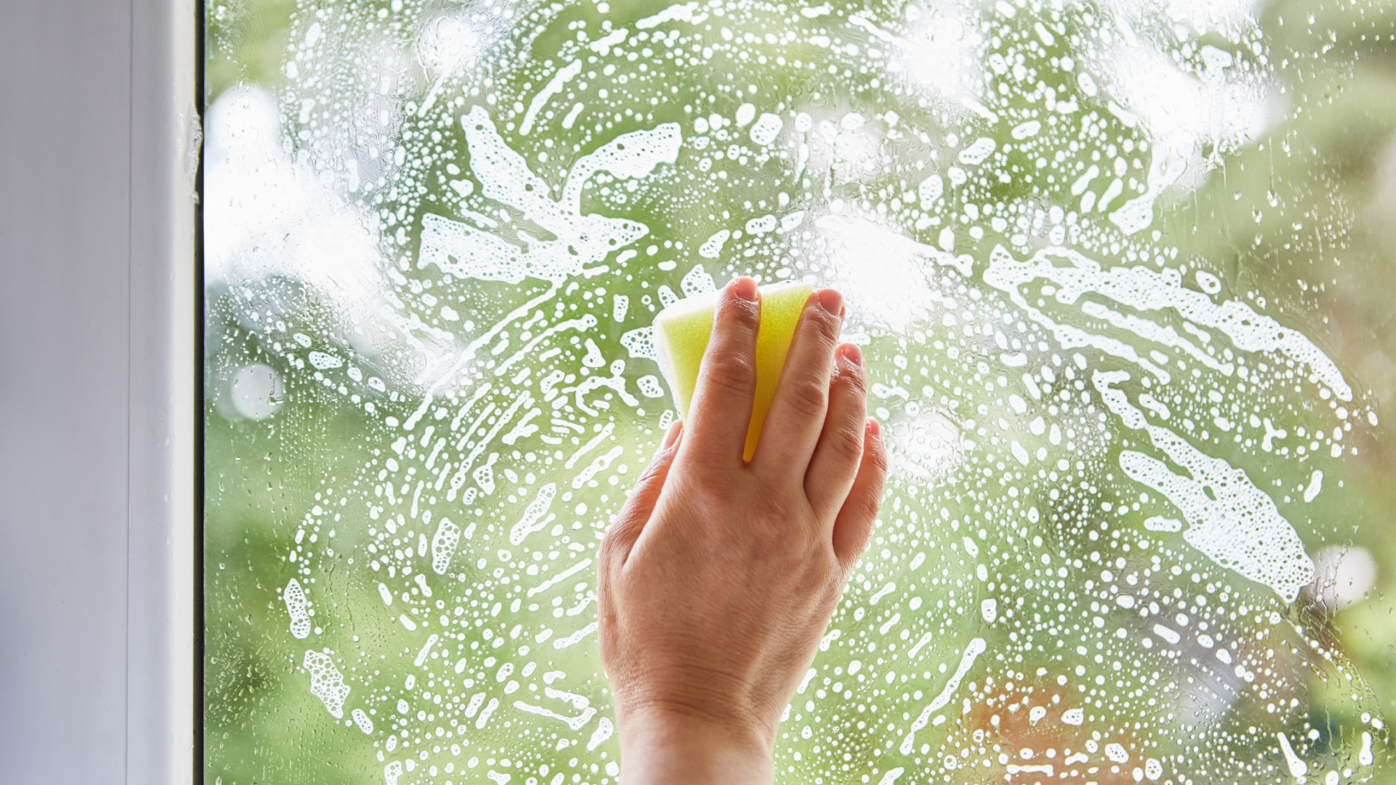 person cleaning home